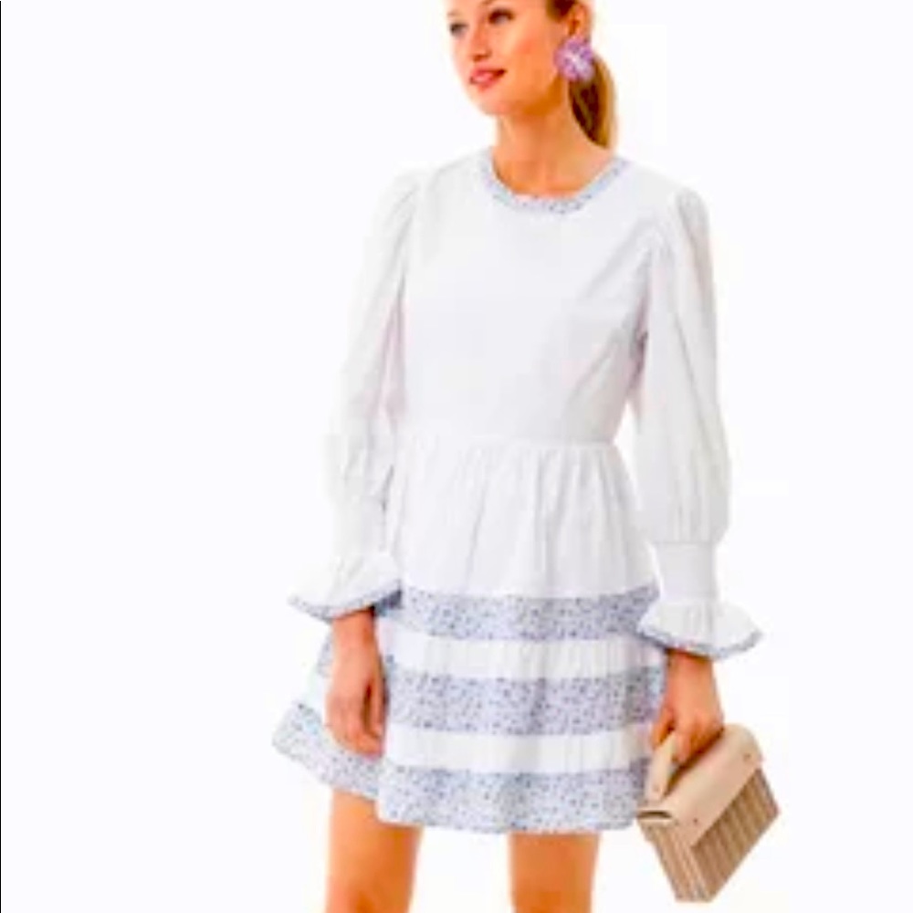 Long sleeve ruffle dress BRAND NEW NEVER WORN